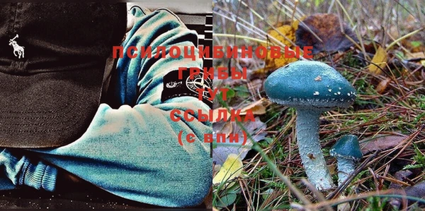 круглые Белокуриха
