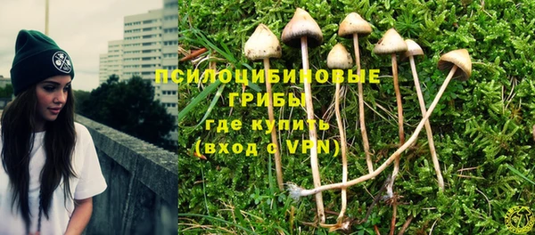 круглые Белокуриха