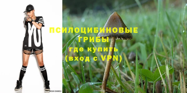 круглые Белокуриха