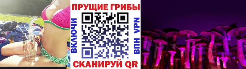 shop официальный сайт  Окуловка  Псилоцибиновые грибы Psilocybe 